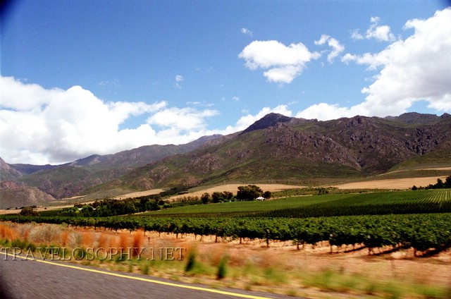 Cape Road Trip Scenery