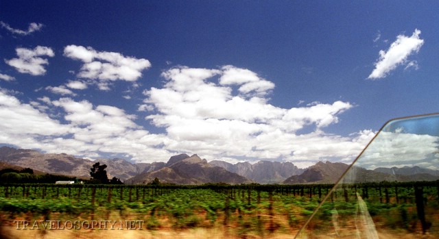 Cape Vinyards and Clouds