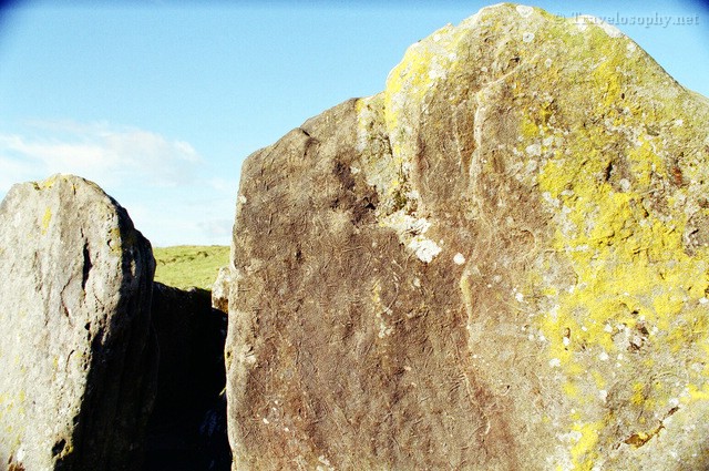 Fossalised Stone at Cairn U
